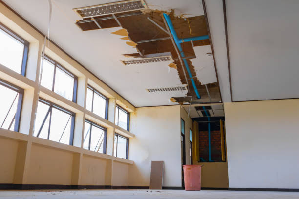 Best Flood restoration services  in Parkersburg, IA