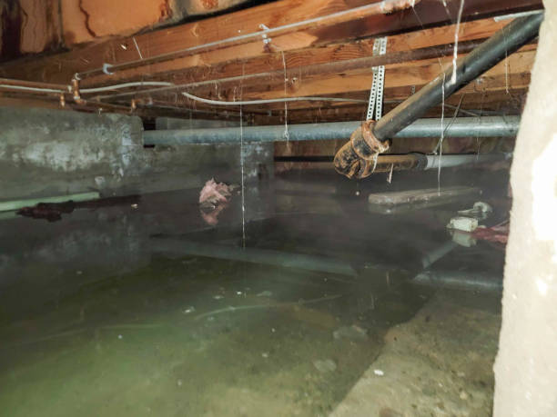 Best 24/7 water damage repair  in Parkersburg, IA