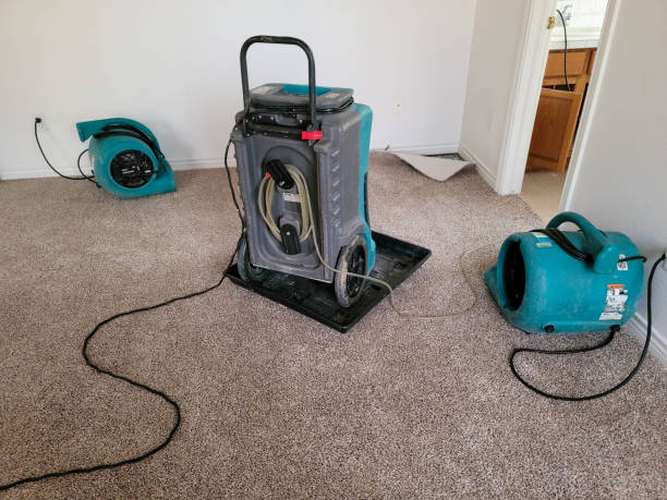 Best Flooded house restoration  in Parkersburg, IA