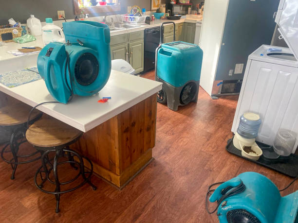 Best 24-hour water damage restoration  in Parkersburg, IA