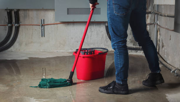 Best Water damage restoration near me  in Parkersburg, IA