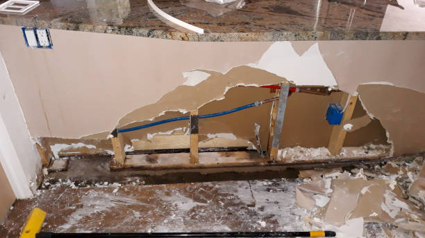 Best Water damage restoration company  in Parkersburg, IA