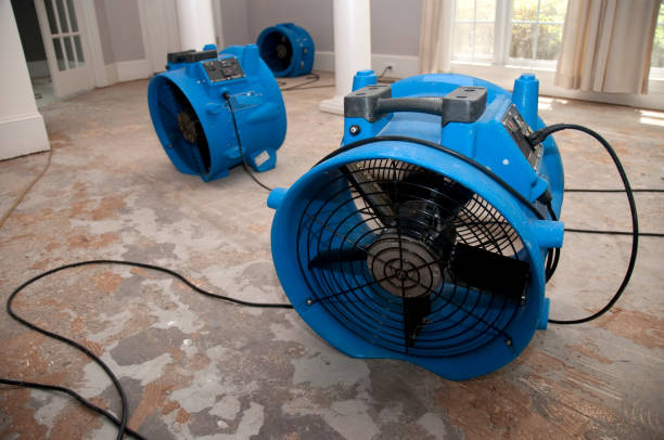 Best 24-hour water damage restoration  in Parkersburg, IA
