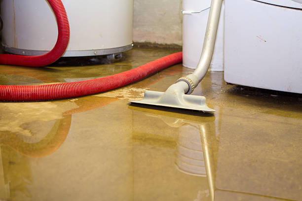 Best Residential water damage restoration  in Parkersburg, IA