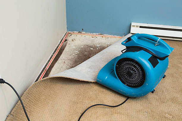 Best Basement water damage restoration  in Parkersburg, IA